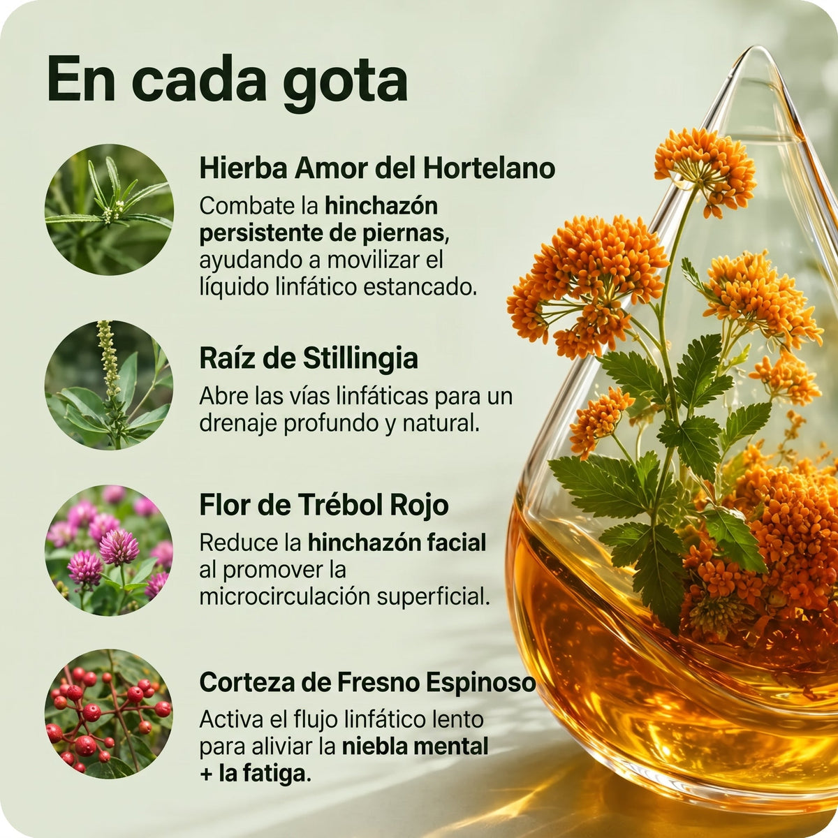 Drenaje Linfático